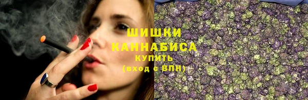 амф Верея