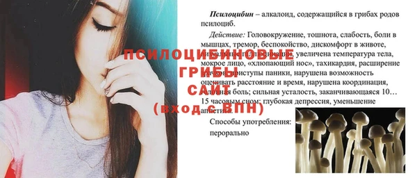 амф Верея
